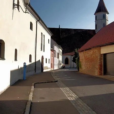 Zentrale Altstadtwohnung - Pure Erholung Garantiert Im Historischen Kerkerquartier アパート バート・ラトカースブルク
